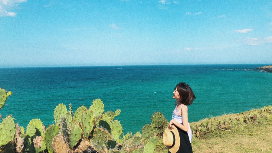 5 Điểm check-in đẹp khi đi Tour Phú Yên không nên bỏ lỡ
